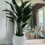 Afbeelding in Gallery-weergave laden, PulseWave™ Home Bloemendecoratie
